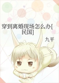 穿到离婚现场怎么办[民国]